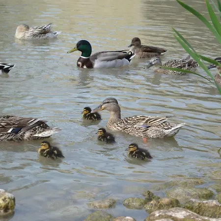 L'instant Canal Apartamento Capestang